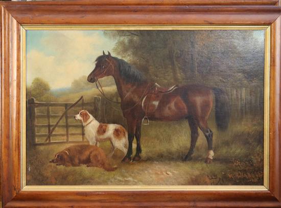 William Howard Hardy (19th C.) Studies of horses and gundogs 15 x 23in.